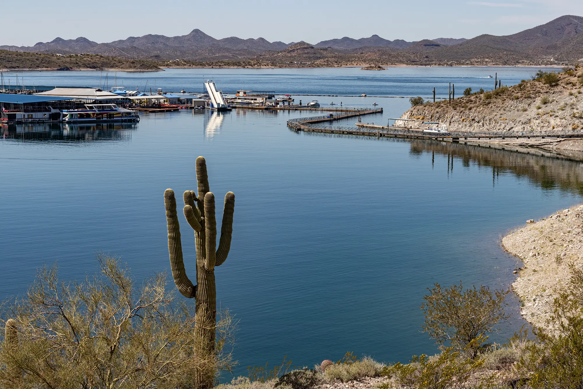 Saguaro cactus in the foreground with Lake Pleasant marina, docked houseboats, and desert mountains in the background
